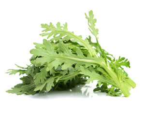 Shungiku, also known as tong hao, or edible chrysanthemum, Isolated on white. A leaf herb commonly used in asian food