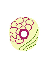 ABC. Latin althabet. Letter O. Floral boho style. Pink color palette. Vector illustration.