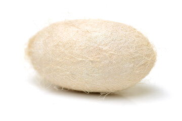 chrysalis silkworm and silk worm cocoon