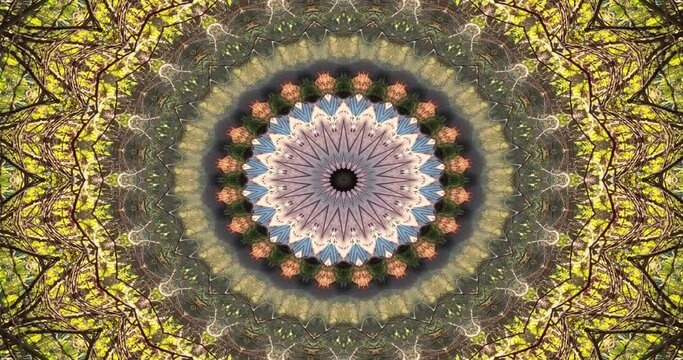 colorful abstract motion animation background
