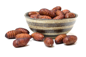 chrysalis silkworm ,silk worm cocoon on white background 