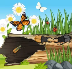 Viele verschiedene Insekten in der Gartenszene © blueringmedia