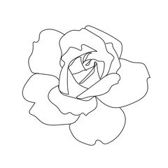 linear silhouette flower. Botanic decoration vector element. Graphic sketch. One line. 