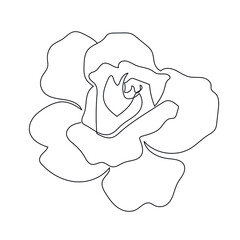 linear silhouette flower. Botanic decoration vector element. Graphic sketch. One line. 
