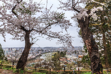 Fototapeta na wymiar 春の横手城からみた風景