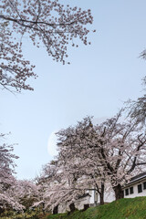 春の横手城からみた風景