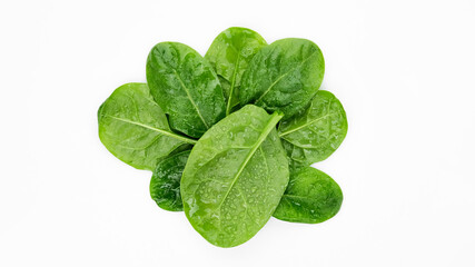 spinach leaves on white background top view. baby spinach. healthy food lifestyle