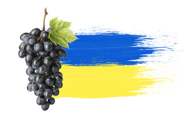 Sweet Ukrainian grapes on white background