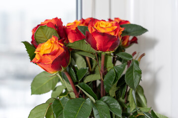 Beautiful flowers in vase with light from window