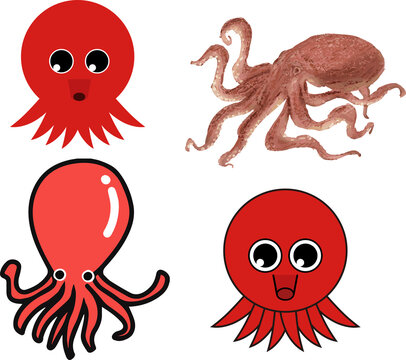 1 008 最適な リアル魚イラスト 画像 ストック写真 ベクター Adobe Stock