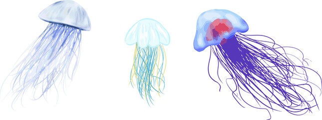 リアルなクラゲセット © foolchico