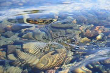 beautiful ripples on river flow over colorful stones in summer sunshine