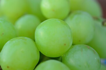 sweet green ripe grapes