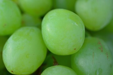 sweet green ripe grapes