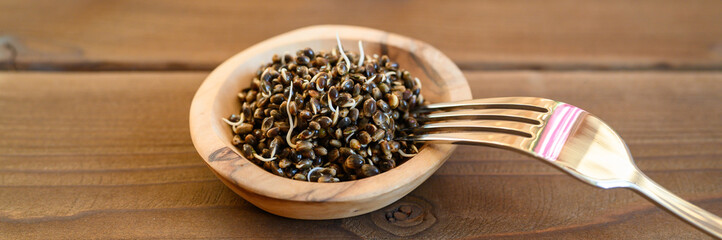 sprouted food hemp seeds in a wooden bowl and metal fork on a wooden background. banner