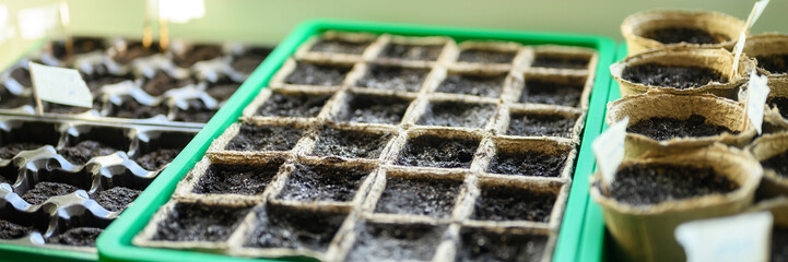 peat pots for seedlings with empty land on the windowsill. banner