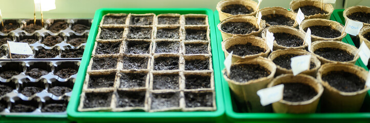 peat pots for seedlings with empty land on the windowsill. banner