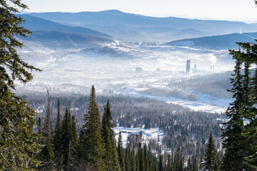 snowy forest in the mountains