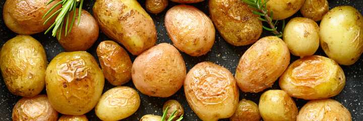 Golden roasted potatoes in the skin. banner