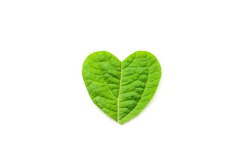St. Valentine's day. The heart is cut from foliage on white background. banner