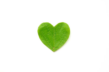 St. Valentine's day. The heart is cut from foliage on white background