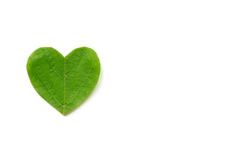 St. Valentine's day. The heart is cut from foliage on white background