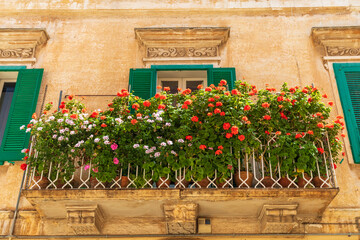 Fototapeta na wymiar Italy, Apulia, Metropolitan City of Bari, Monopoli. Geraniums in pots on a window ledge.