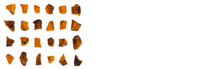 chaga mushroom. rows of large sliced pieces of dry birch tree fungus chaga isolated without shadow...