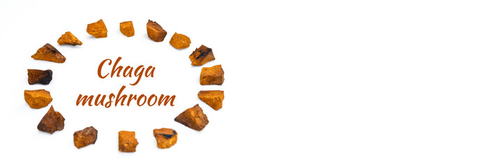 chaga mushroom. large sliced pieces of birch tree chaga fungus arranged in a circle are isolated on a white background. concept of alternative natural medicine. text ofl font. banner
