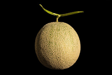 Fresh green Andes melon isolated on black background illuminated by natural light.