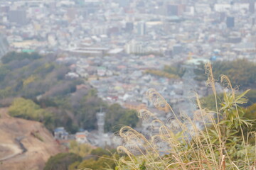 view of the city of the city