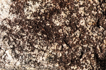 Stone with its surface covered by a dark lichen.