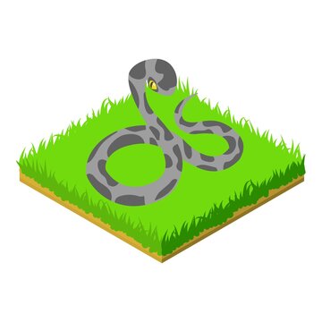 Venomous snake icon. Isometric illustration of venomous snake vector icon for web
