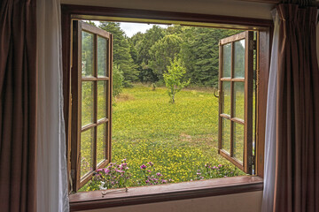 Beautiful view of the garden filled with blossomed yellow flowers from the open window