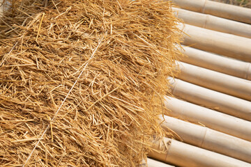 Close up and selective focus shot with copy space of straw stack packed on dried bamboo floor which is decorated in rural farming area. It is beautiful background for agricultural concept in summer