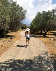 person walking in olive trees