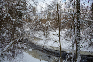 Winter forest and river