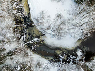 Winter forest and river