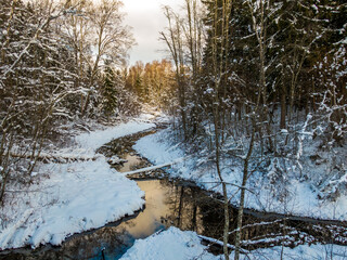 Winter forest and river