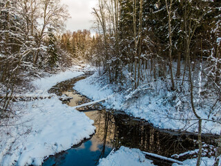 Winter forest and river