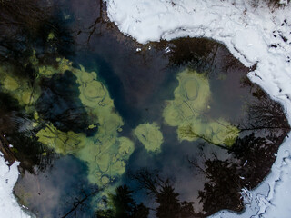 Siniallikad (Estonia) winter river in the forest