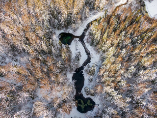 Siniallikad (Estonia) winter river in the forest