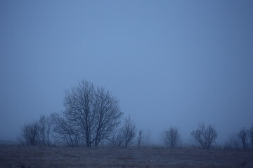 dramatic autumn landscape field sky abstract concept sadness