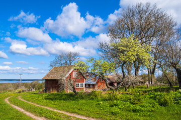 Obraz premium Farm in a rural landscape with a dirt road on the meadow