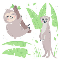 Hand drawn childish set with sloth, meerkat and leaves.