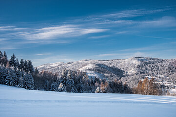 A forest and mountains under clear sky during the winter