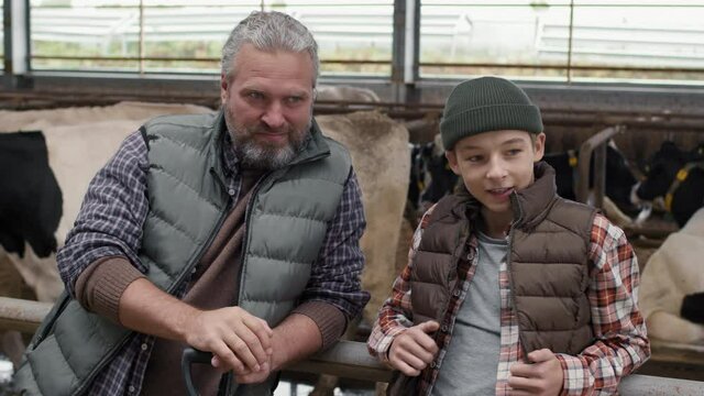 Medium shot of cheerful middle-aged man with grey hair and beard leaning on cattle feedlot fence at dairy farm and talking to his 15-year-old son