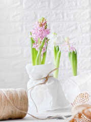 hyacinth flower wrapped with eco paper. florist shop. biodegradable natural packaging matherials. easter flowers. Hello spring concept