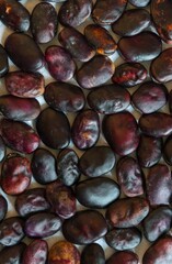Ripe beans closeup background. Vertical photo