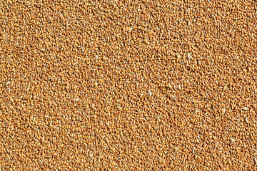 Grains of wheat as background. Agriculture texture image. Seeds of wheat.